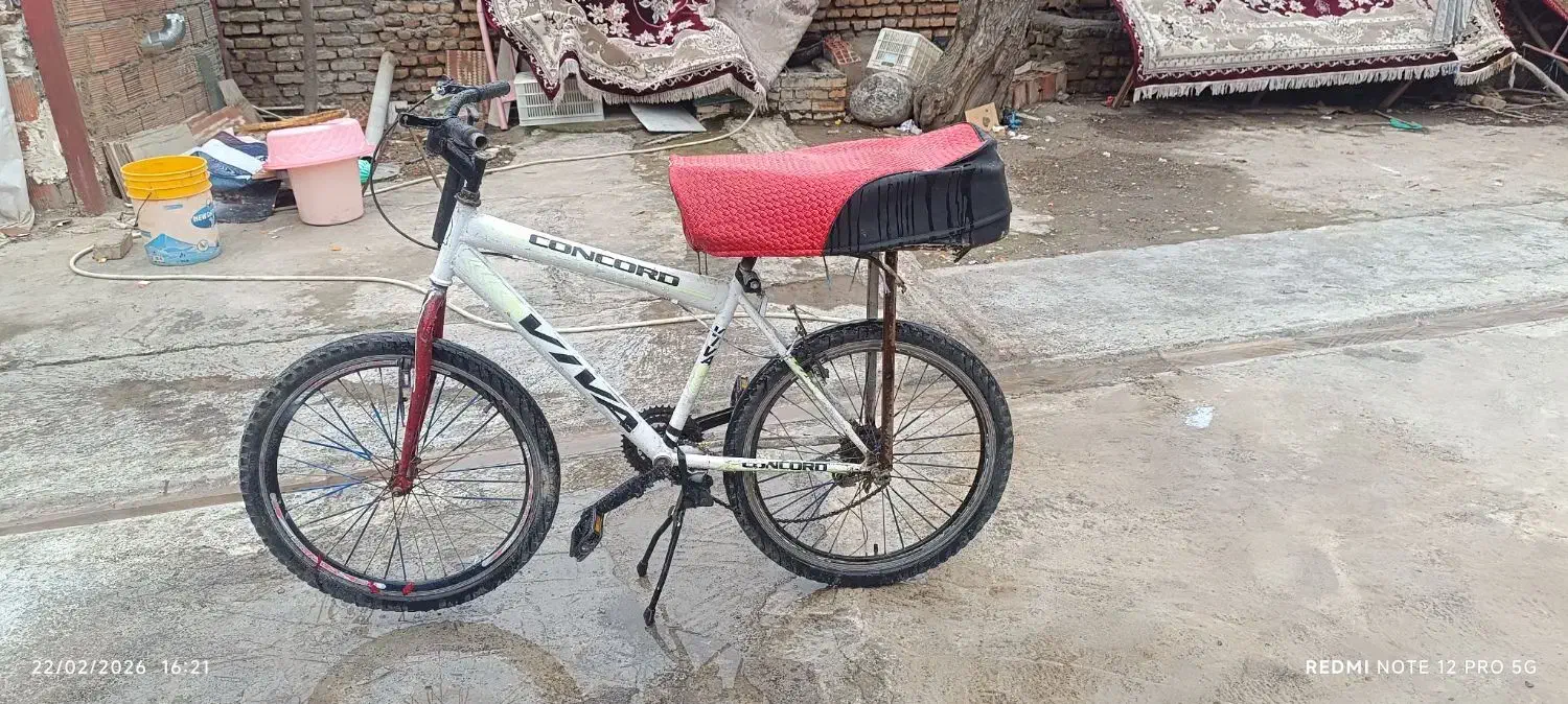 دوچرخه|دوچرخه، اسکیت، اسکوتر|خان ببین, |دیوار