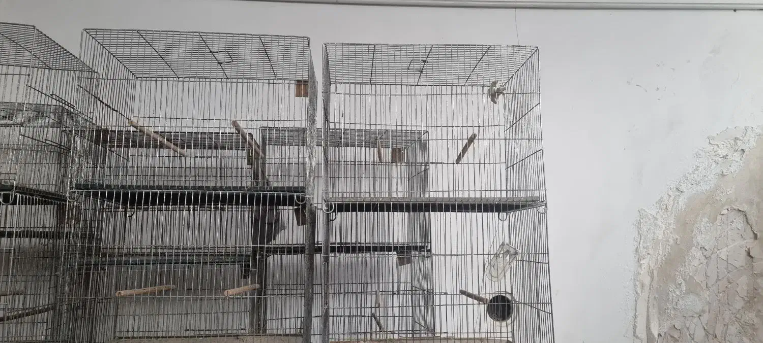 قفس قناری|لوازم جانبی حیوانات|قم, باغ کرباسی|دیوار