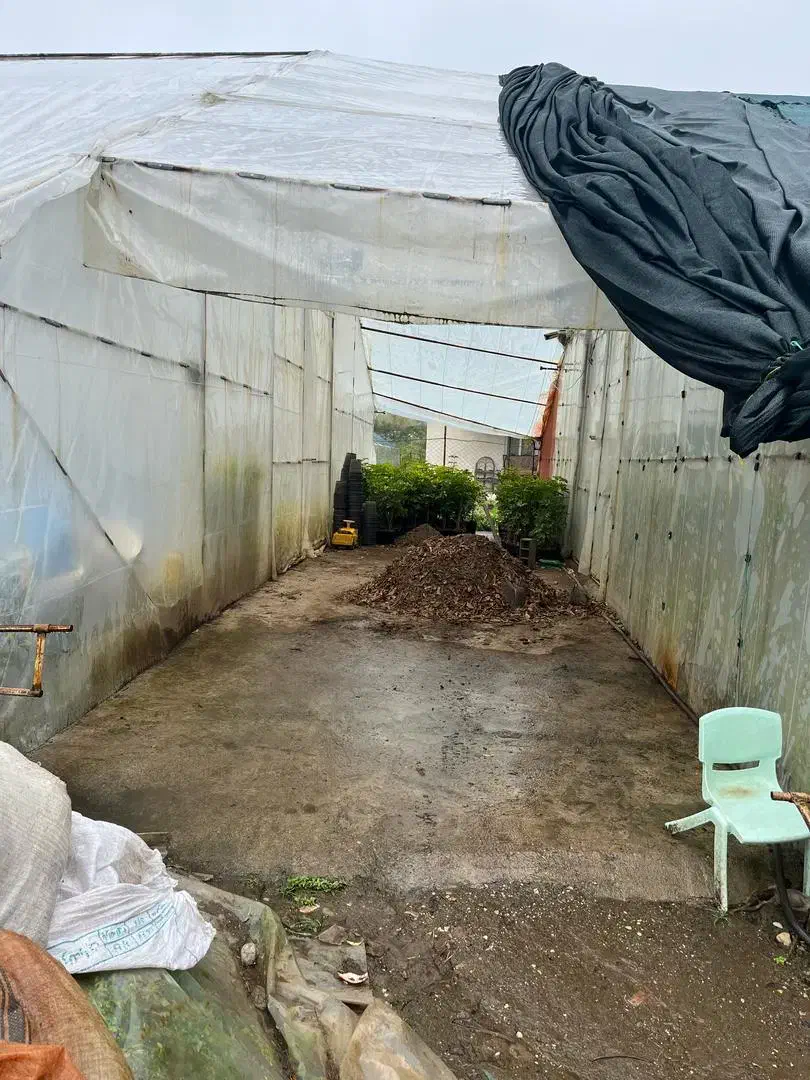 زمین کشاورزی و گلخانه۲۸۰۰متر|اجارهٔ دفتر صنعتی، کشاورزی، تجاری|عباس‌آباد, |دیوار