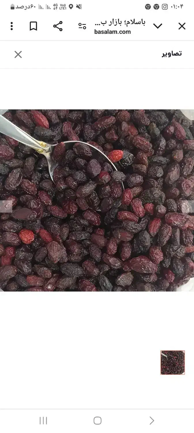 زغال اخته خشک  امساله گوشتی|خوردنی و آشامیدنی|قم, نیروگاه|دیوار