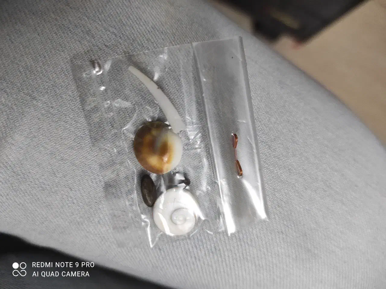 مهره اصل|بدلیجات|کرج, خرمدشت|دیوار