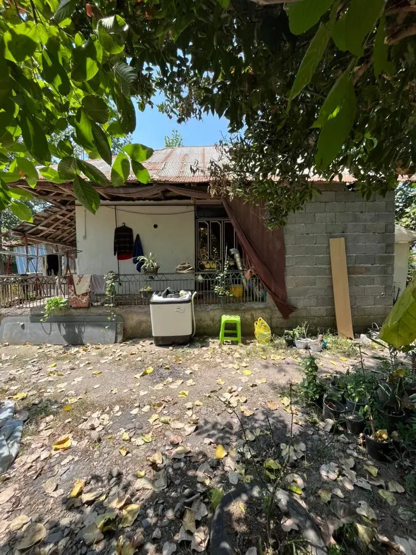 ۵۵۰متر سند تک برگ ۲ دقیقه شهر/رشت به کوچصفهان سنگر|فروش خانه و ویلا|سنگر, |دیوار