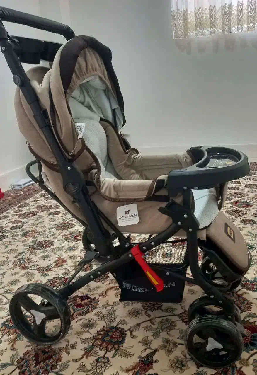 کالسکه دلیجان نو|کالسکه و لوازم جانبی|فردوس (خراسان), |دیوار