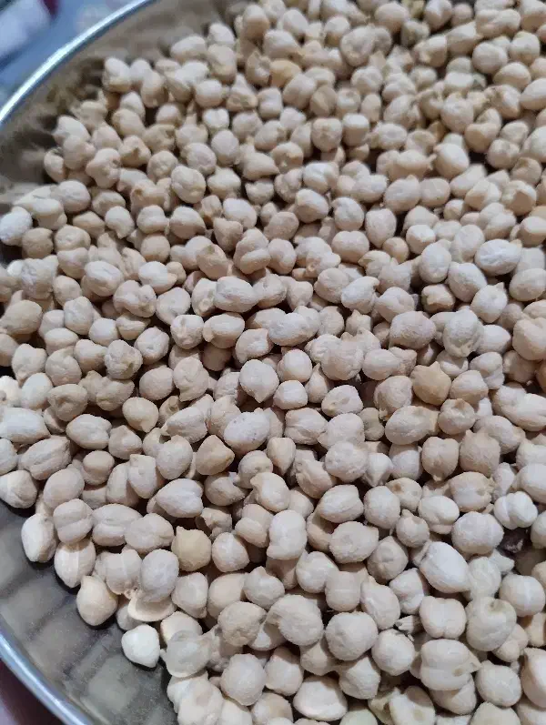 نخود ریز سفید|خوردنی و آشامیدنی|چگنی, |دیوار