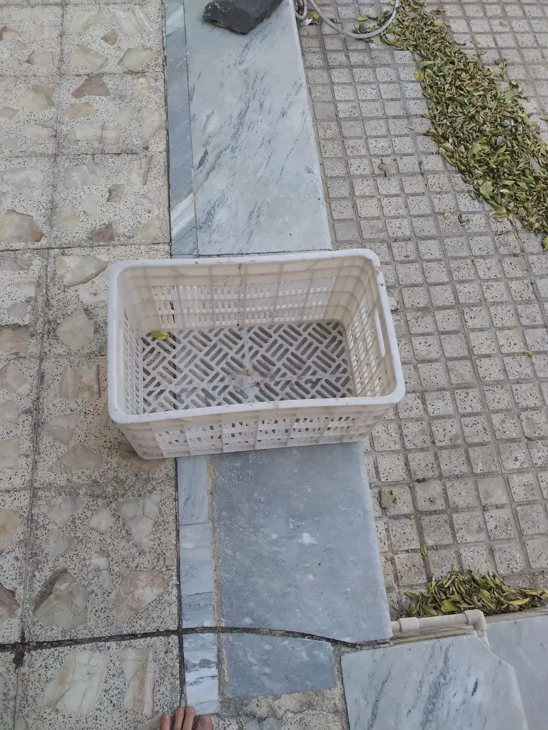 سبد میوه|ظروف نگهدارنده، پلاستیکی، یک‌بارمصرف|ساوه, |دیوار