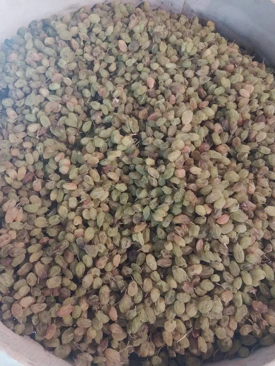 سبز سایه خشک|خوردنی و آشامیدنی|قره چای, |دیوار