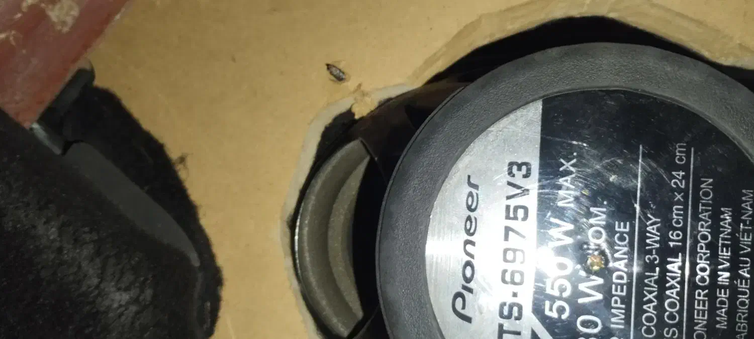 باند پایونیر و ساب|صوتی و تصویری|گراش, |دیوار