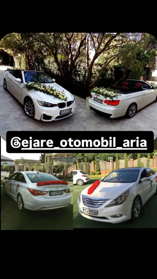 موسسه اجاره ماشین عروس اریا ((گل ماشین هدیه))|خدمات پذیرایی، مراسم|تهران, نیروی هوایی (پیروزی)|دیوار