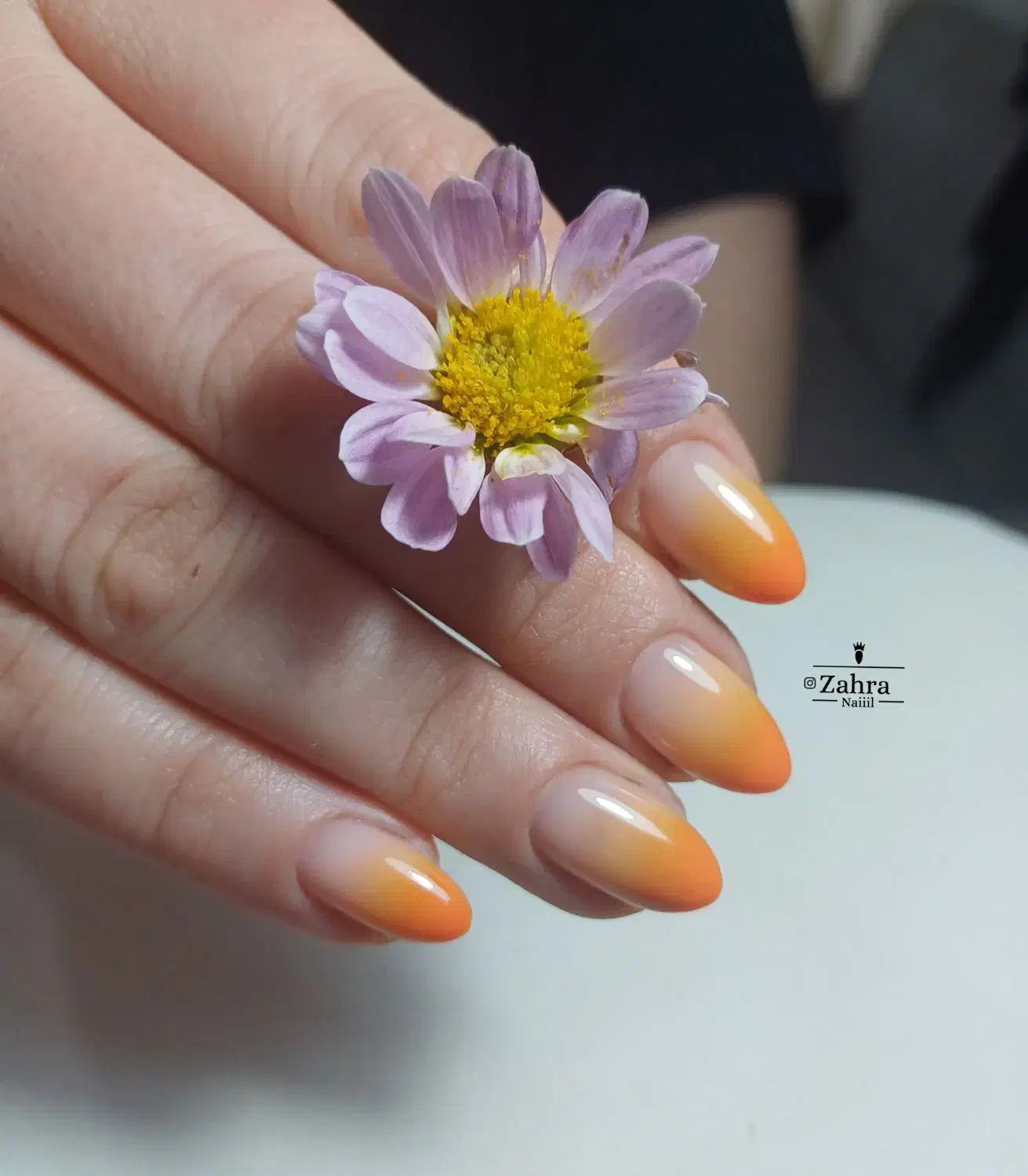 تخفیفات یلدایی خدمات ناخن|خدمات آرایشگری و زیبایی|داراب, |دیوار