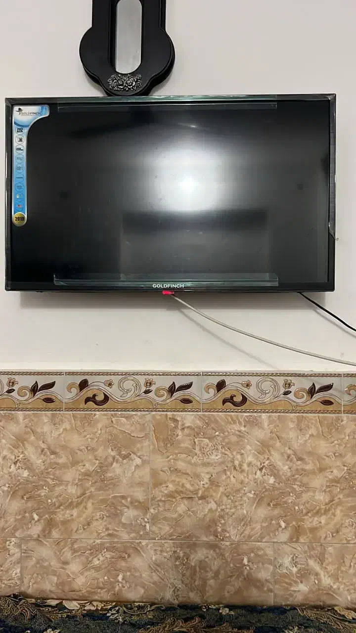 تلویزیون|تلویزیون و پروژکتور|قشم, |دیوار