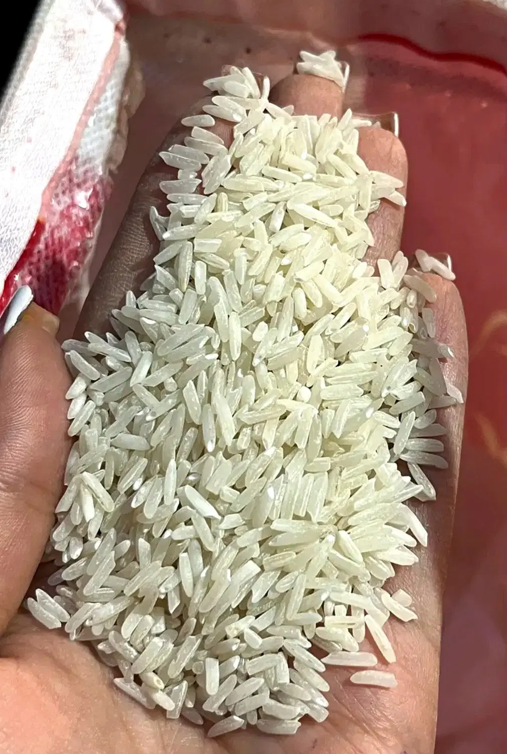 برنج /برنج پاکستانی ۳۸۶/هندی/تایلندی/آرسیکس|خوردنی و آشامیدنی|تهران, مولوی|دیوار