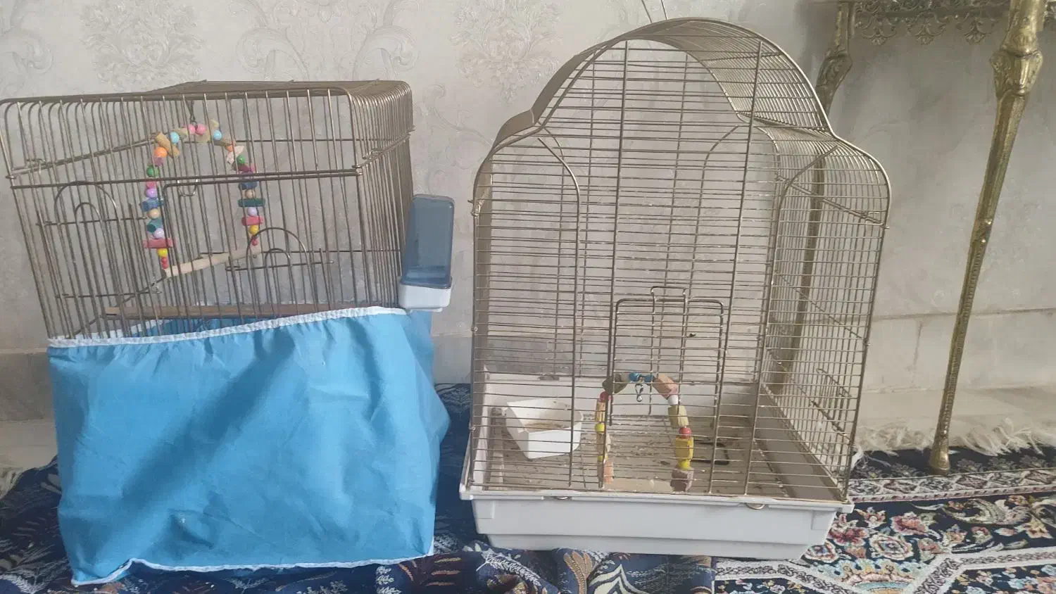 قفس پرنده|لوازم جانبی حیوانات|ملایر, |دیوار