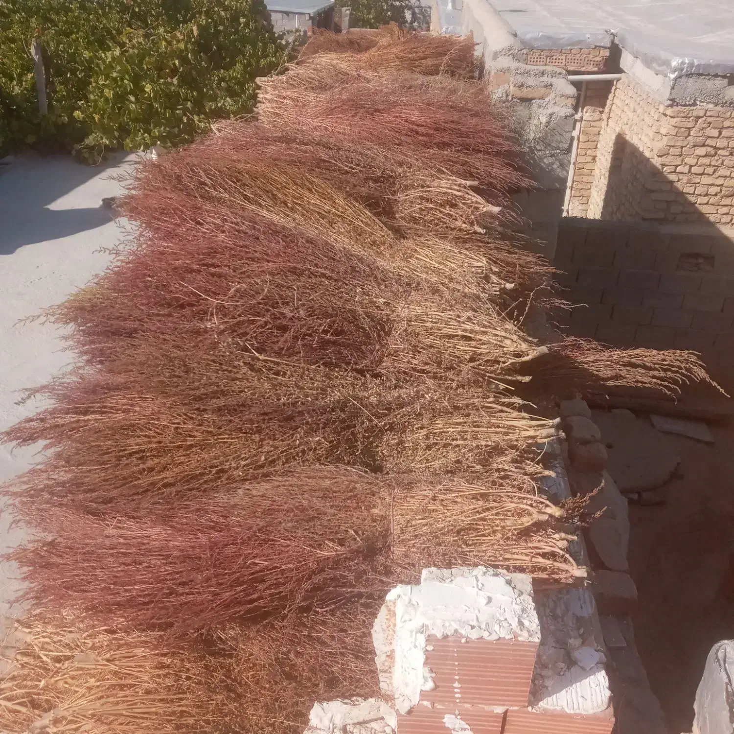 جاروی شهرداری|لوازم نظافت|آشخانه, |دیوار