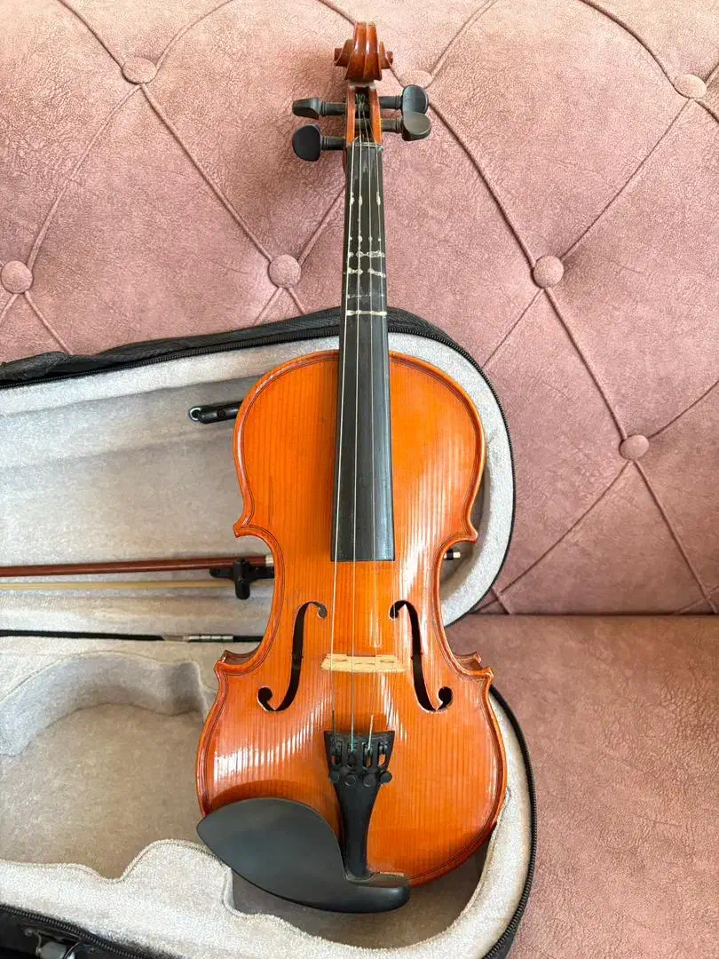 ویولن|ویولن|فلاورجان, |دیوار