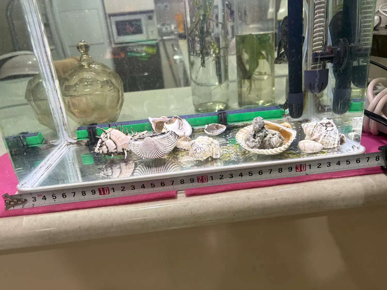 آکواریوم|ماهی|سبزوار, فرهنگیان|دیوار