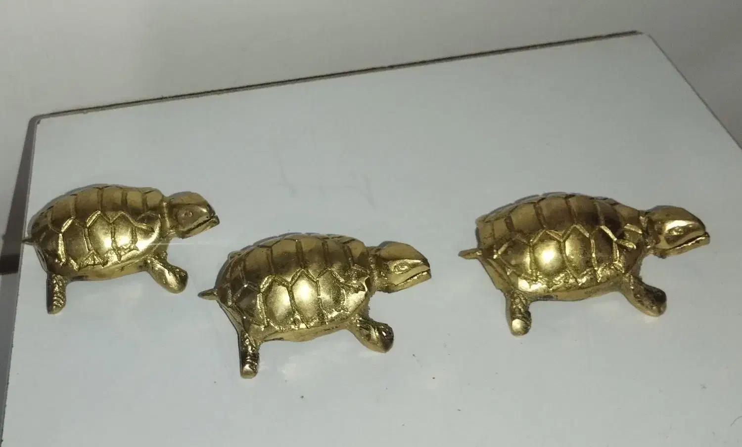 لاک پشت برنجی|مجسمه، تندیس، ماکت|اردبیل, |دیوار