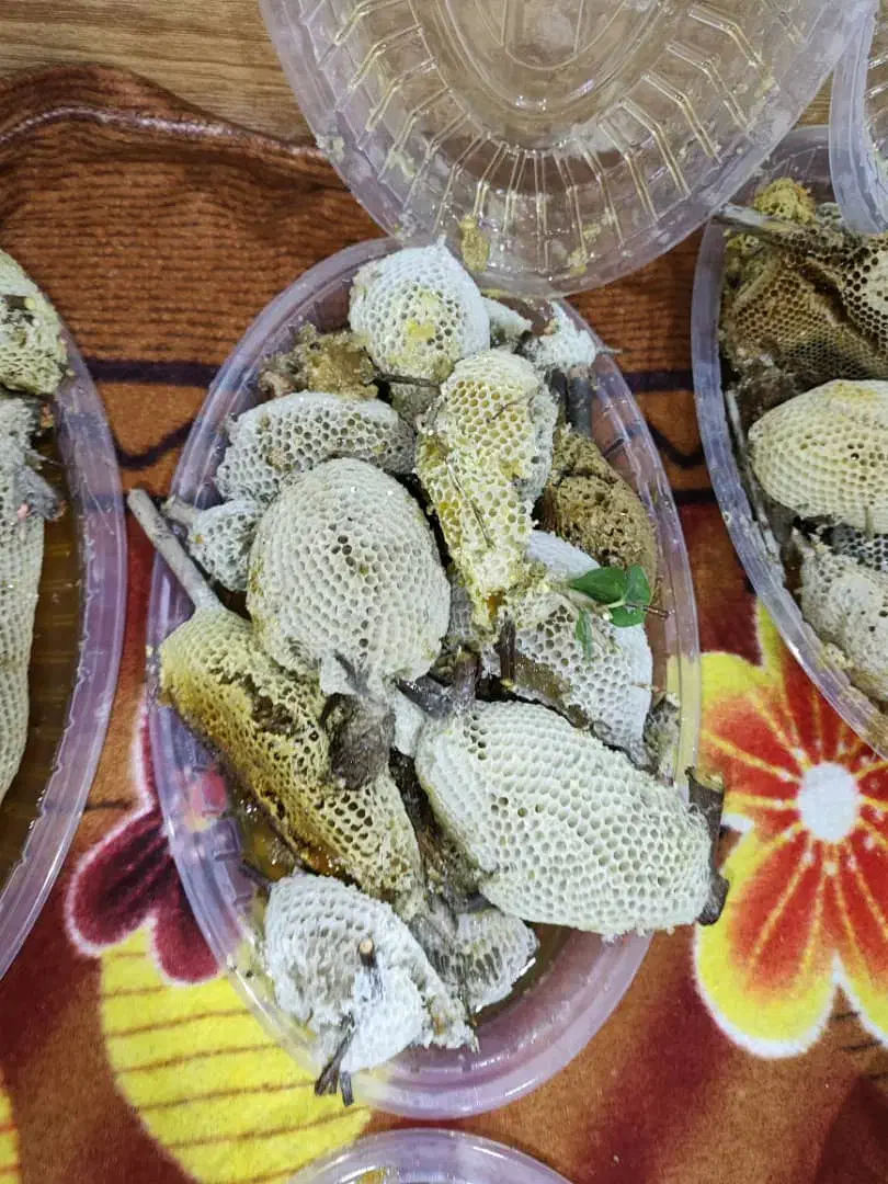 عسل کنار درجه یک|خوردنی و آشامیدنی|برازجان, |دیوار