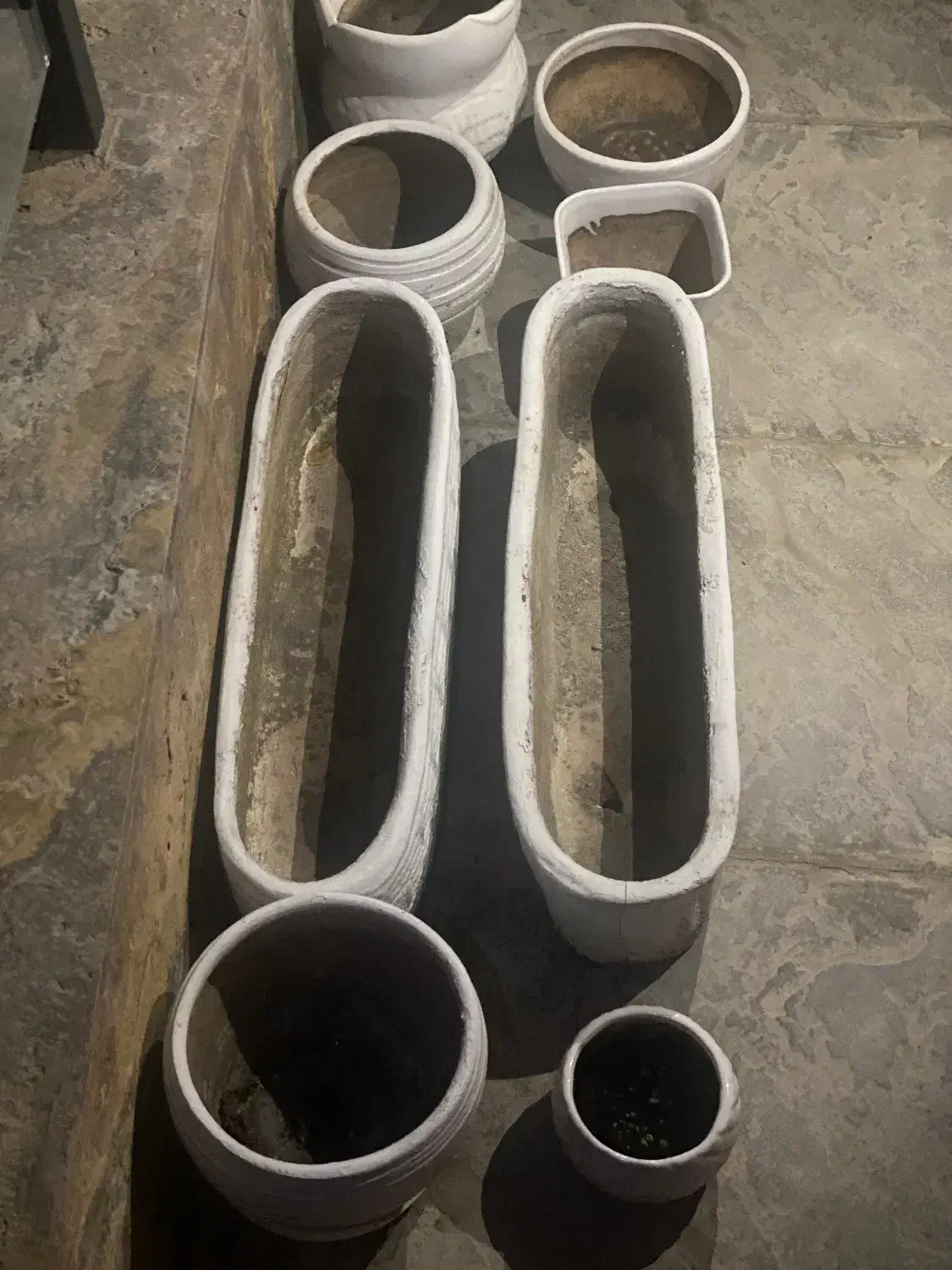 گلدان|گل و گیاه طبیعی|تهران, لویزان|دیوار