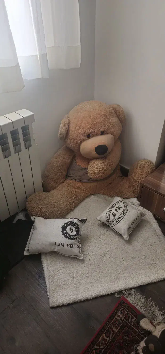 عروسک تدی بزرگ با تعدادی عروسک و ماشین همه باهم|اسباب‌‌بازی|تهران, پونک|دیوار