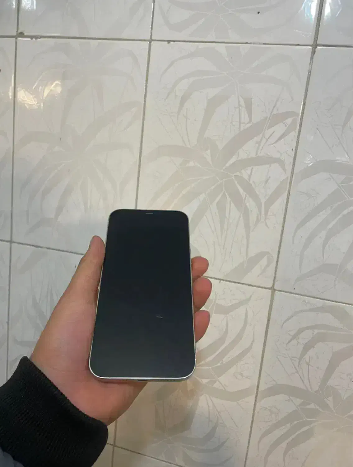 iphone 12 pro max|موبایل|کرمان, |دیوار