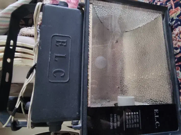 پروژکتور|تلویزیون و پروژکتور|زنجان, |دیوار