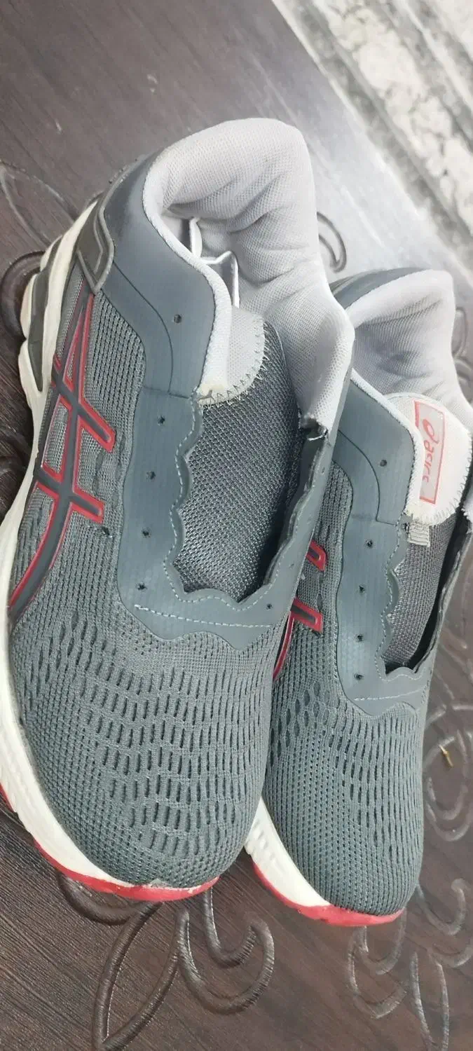 کتونی|کیف، کفش، کمربند|قم, شهدا|دیوار