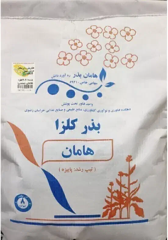 2.5 تا 3 کیلو بذر کلزا هامان فروشی دارم .نیشابور|گل و گیاه طبیعی|نیشابور, دربقاضی|دیوار