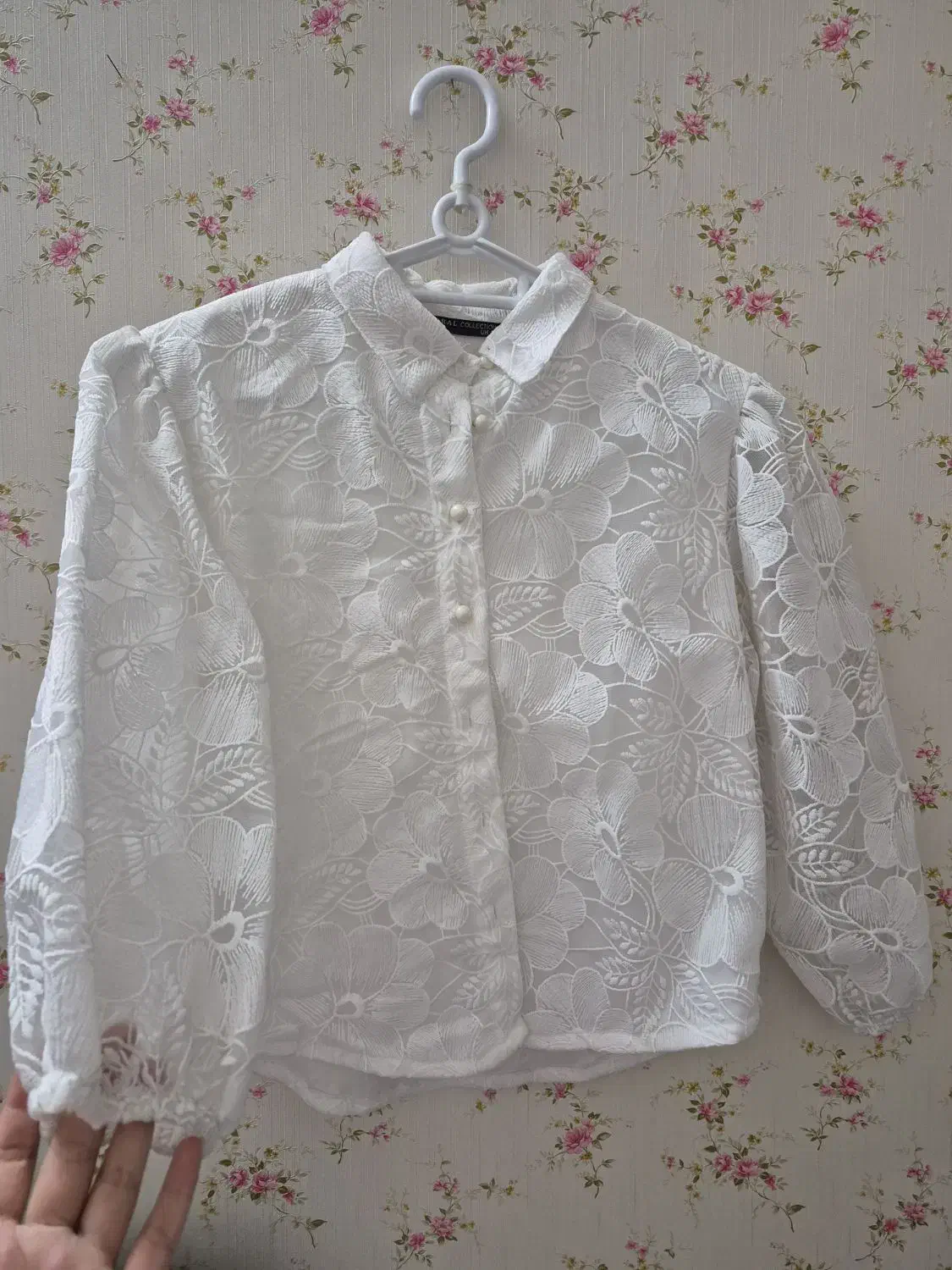 شومیز گیپور|لباس|قم, هنرستان|دیوار