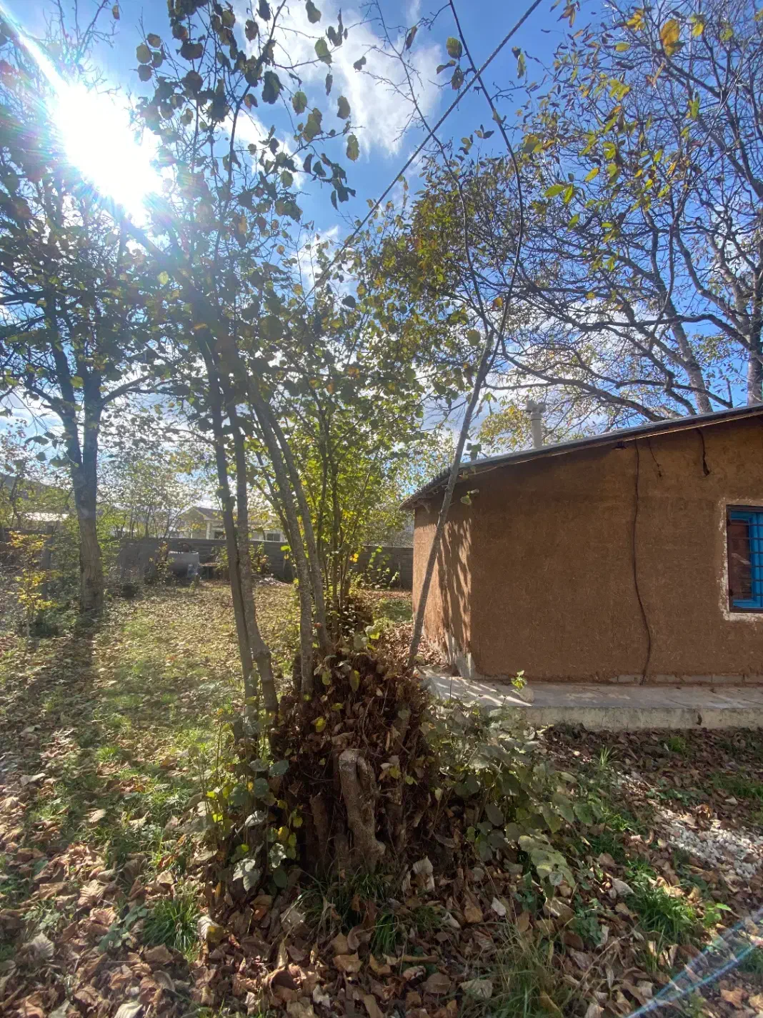 اجاره کلبه ویسر|اجارهٔ خانه و ویلا|کجور, |دیوار