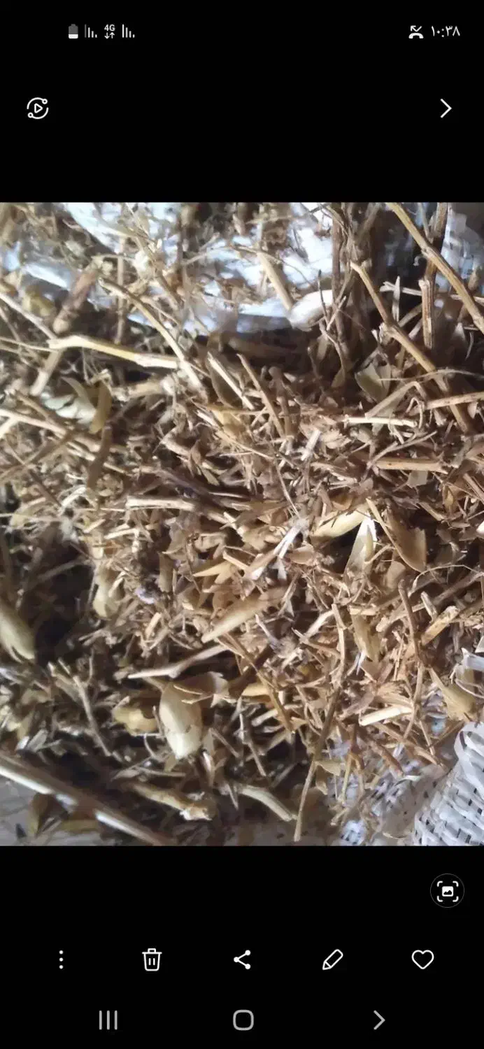 کاه|حیوانات مزرعه|ویلکیج, |دیوار