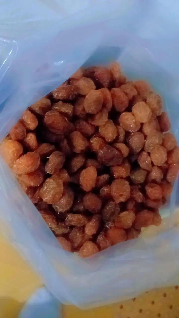 آلو|خوردنی و آشامیدنی|تویسرکان, |دیوار