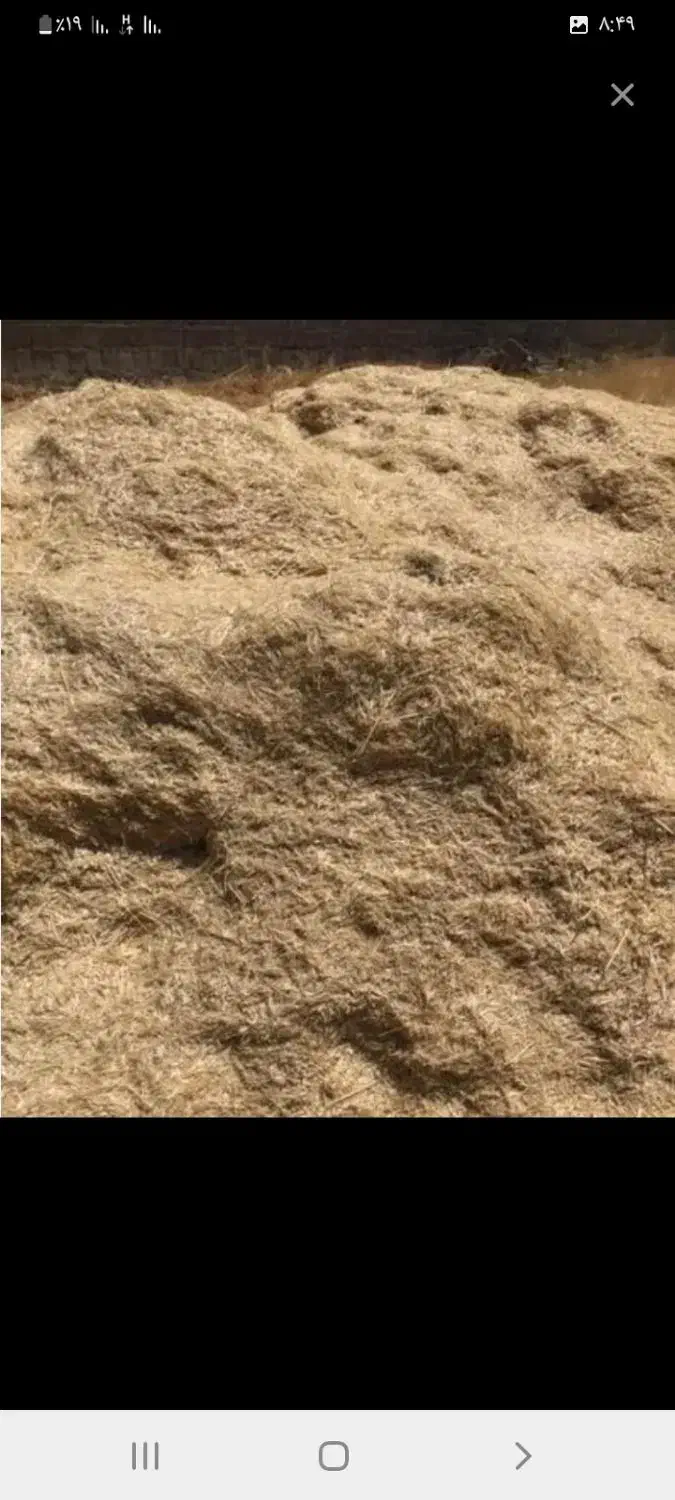 ۲۰تن کاه گندم دیم نرم ریز|عمده‌فروشی|گل تپه, |دیوار