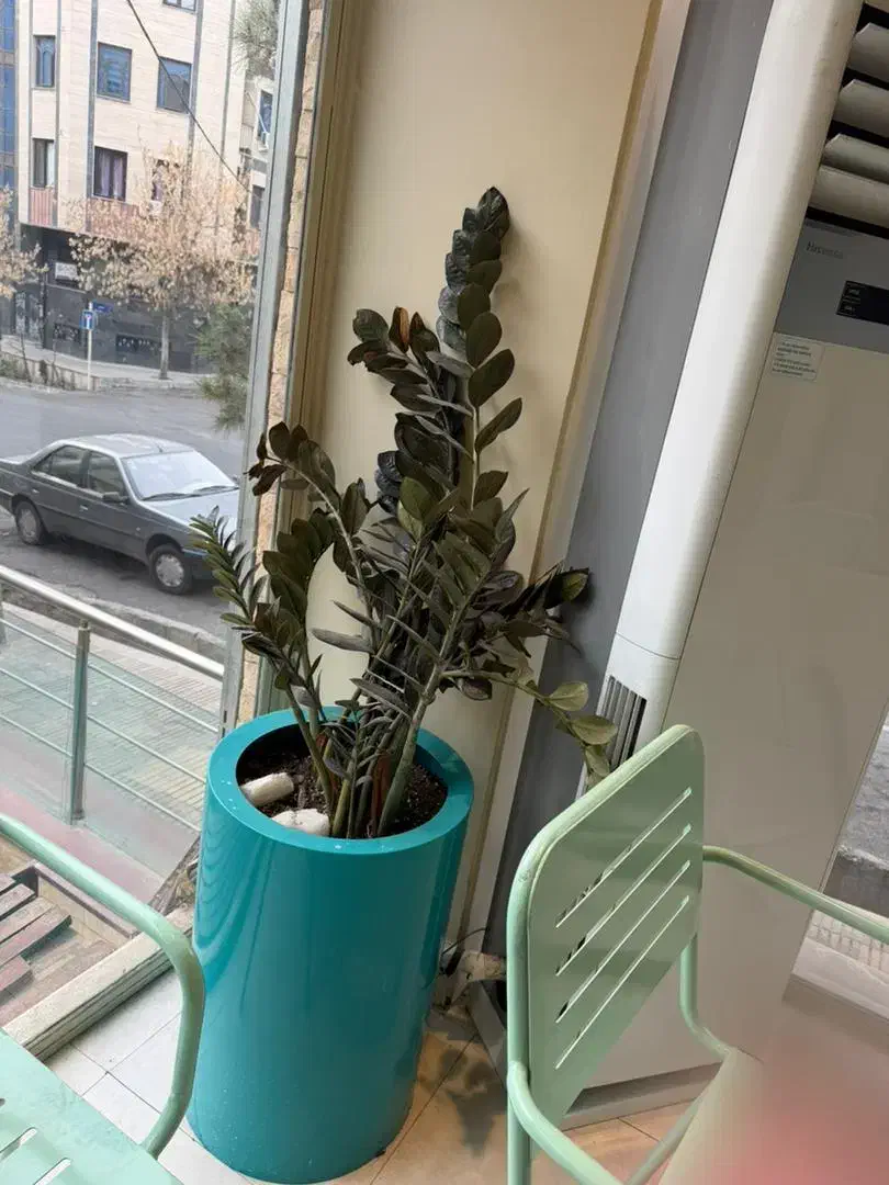 ۲ عدد پاف و گلدان ها و اینه به فروش میرسد|فروشگاه و مغازه|تهران, دریا|دیوار