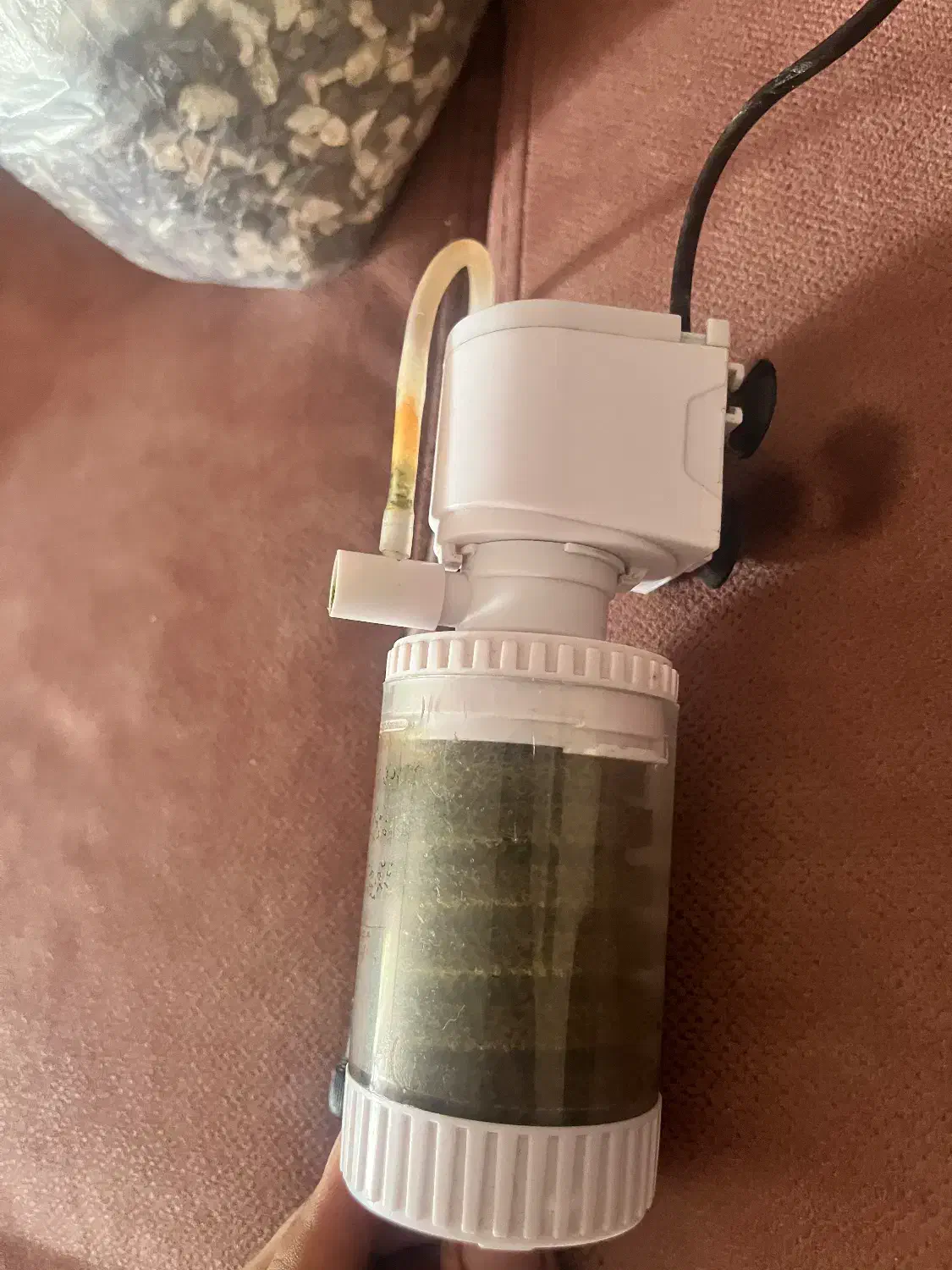 لوازم اکواریوم|ماهی|کاشمر, |دیوار