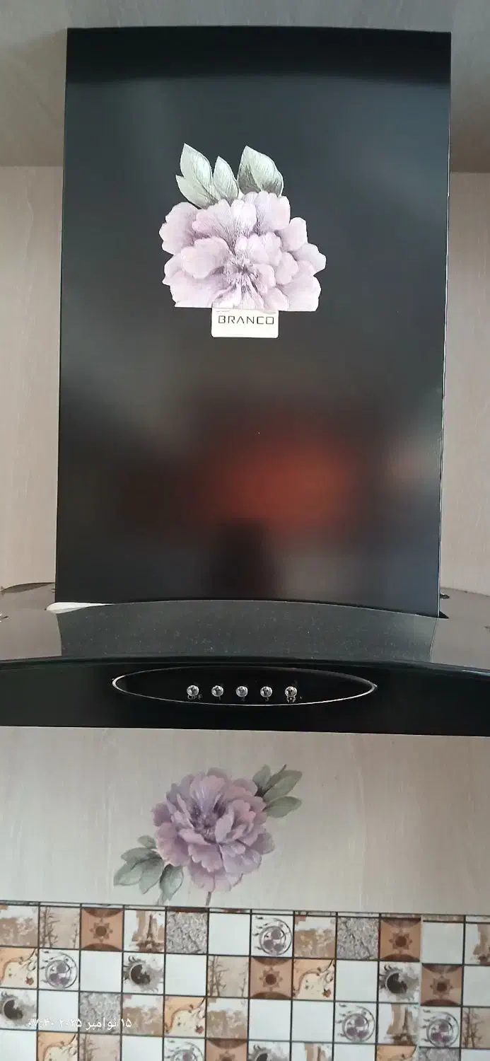 هود برانکو|هود|شاهرود, |دیوار