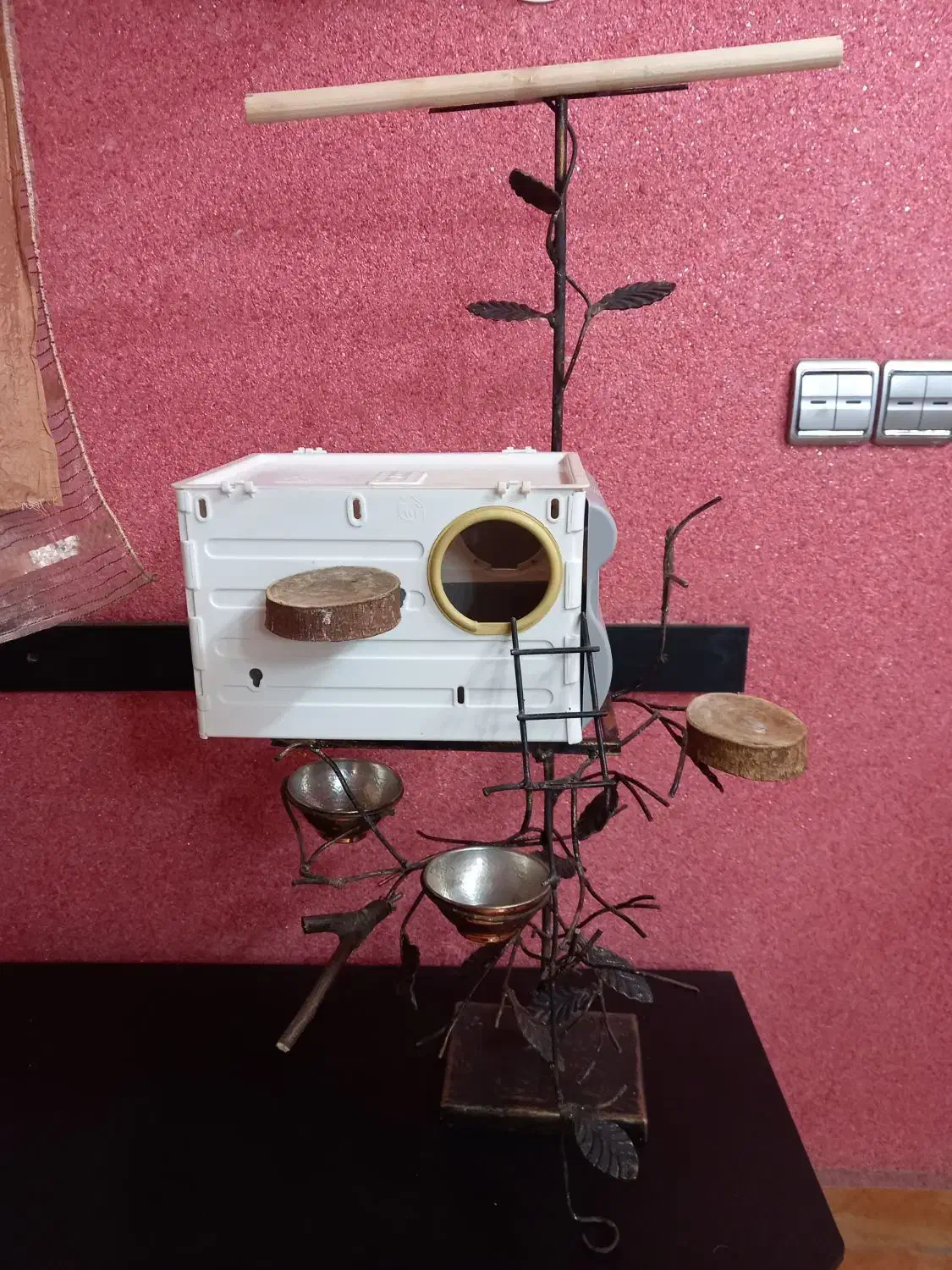 لانه و محل زندگی پرنده|لوازم جانبی حیوانات|رشت, حمیدیان|دیوار