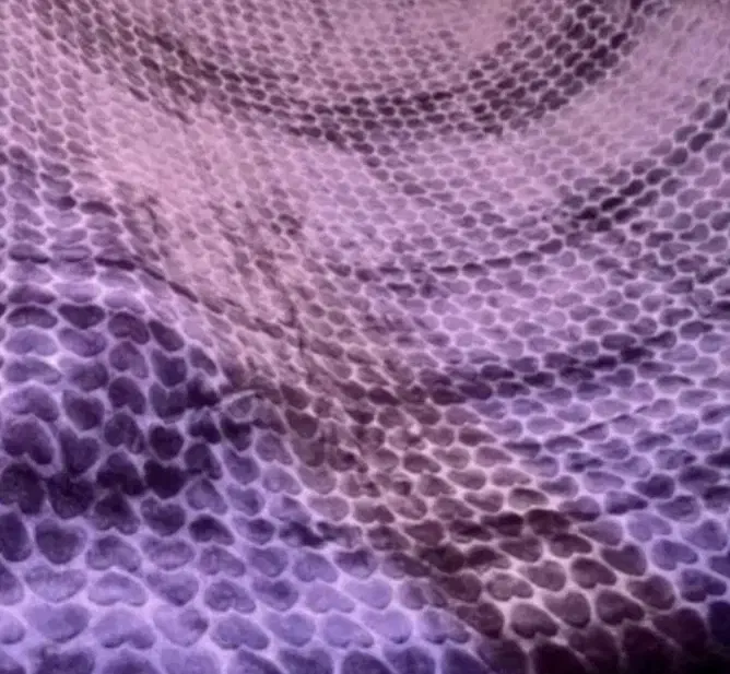 پتو|رختخواب، بالش، پتو|دزفول, |دیوار