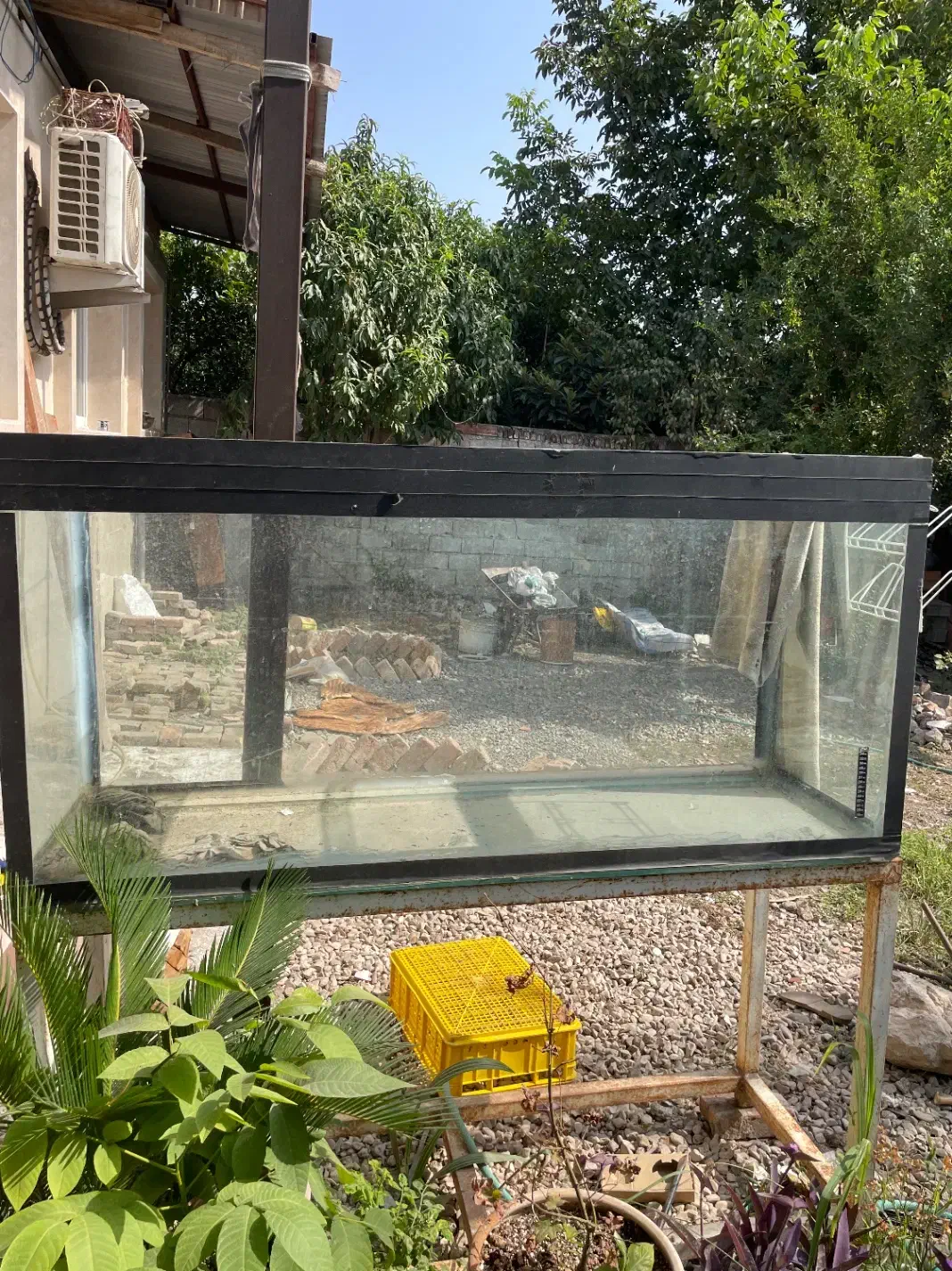 اکواریوم و پایه|ماهی|قائمشهر, |دیوار