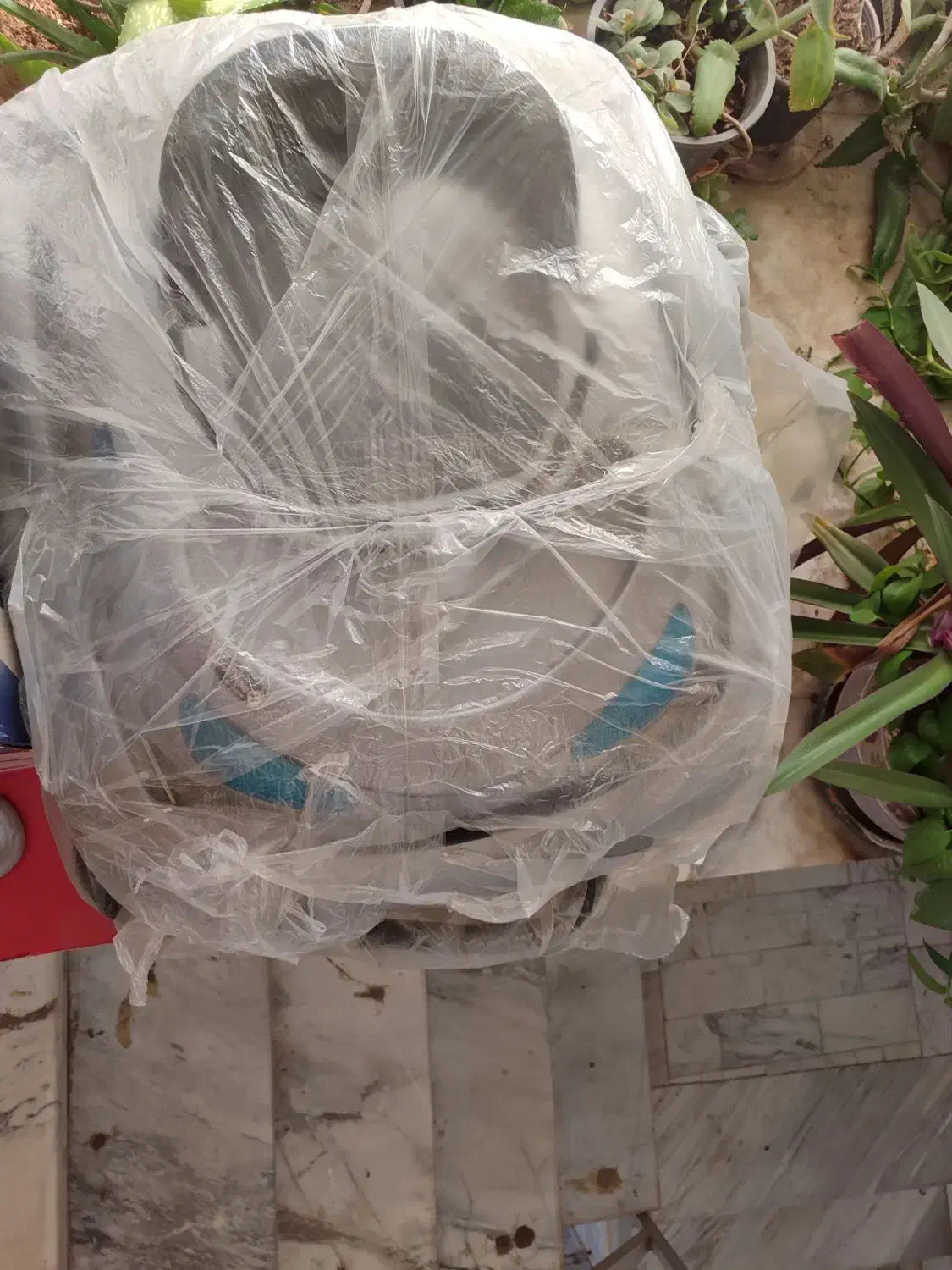 فروشی|کالسکه و لوازم جانبی|دلیجان, |دیوار