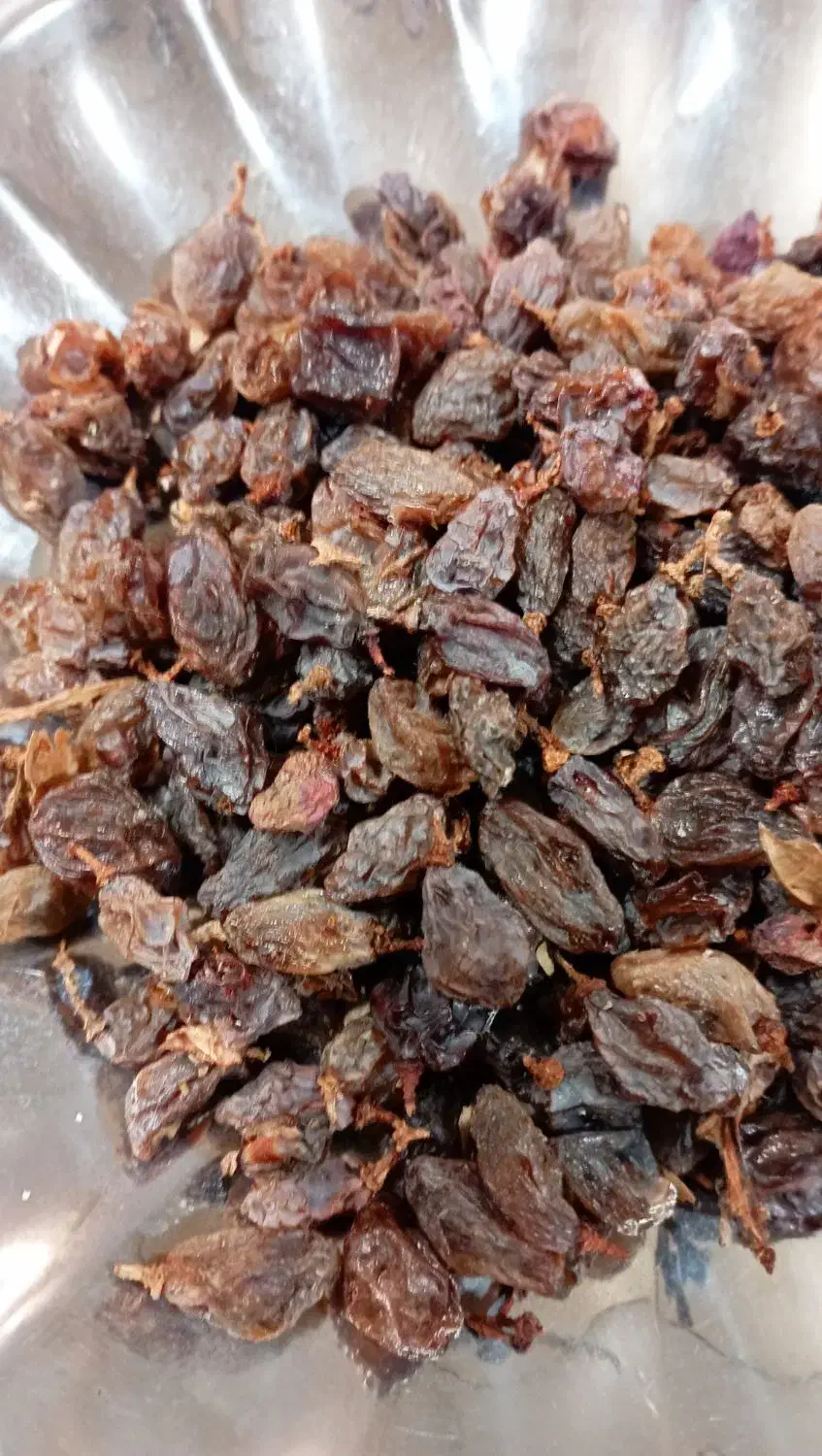 کشمش|خوردنی و آشامیدنی|تربتحیدریه, قائم|دیوار