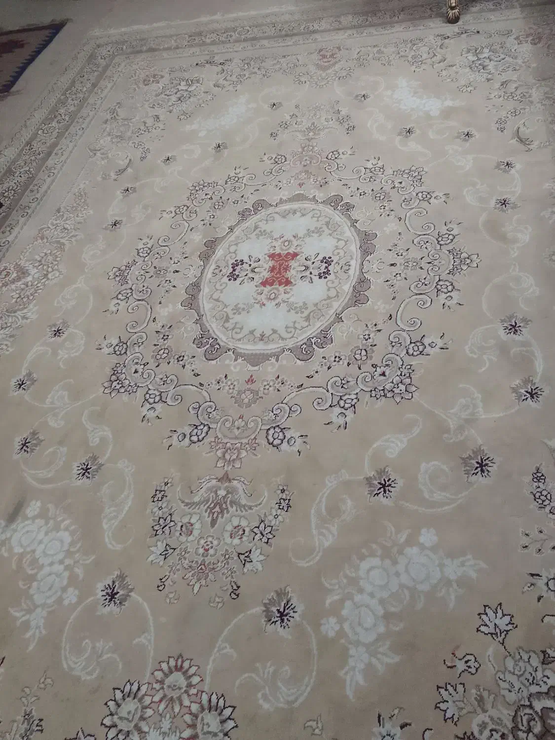 فرش ۱۲ متری|فرش|پیشوا, |دیوار