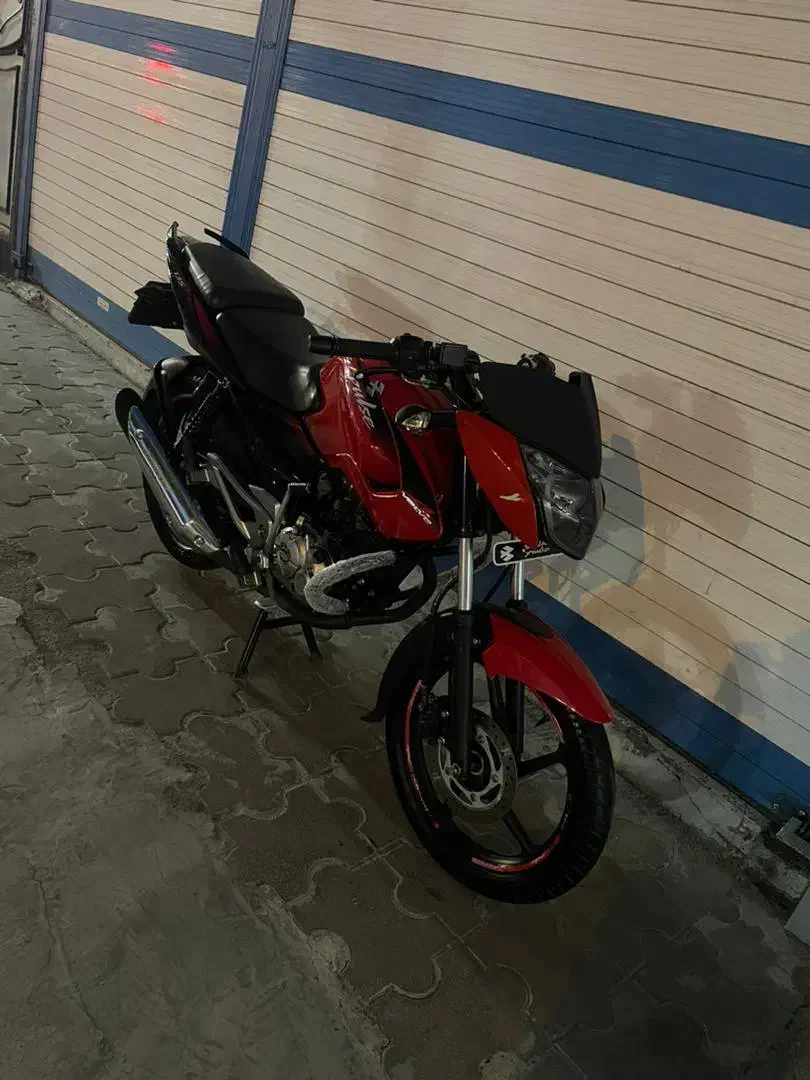 پالس LS135|موتورسیکلت|رشت, گلباغ نماز|دیوار