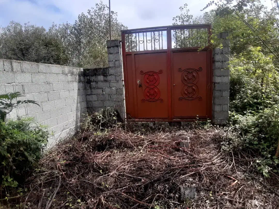 مسکونی دور دیوار|فروش زمین و ملک کلنگی|لشت نشا, |دیوار