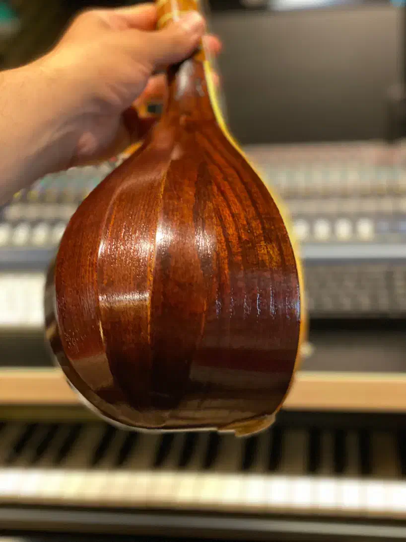 ساز دست ساز استاد سینا|سازهای سنتی|تهران, شهر زیبا|دیوار