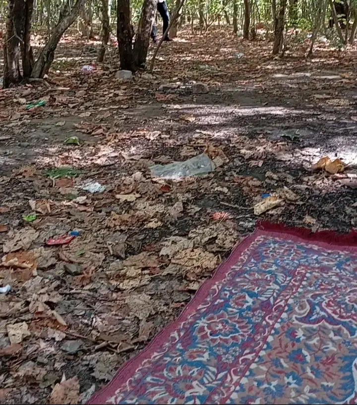 فرش روفرشی گمشده|اشیا|بجنورد, |دیوار