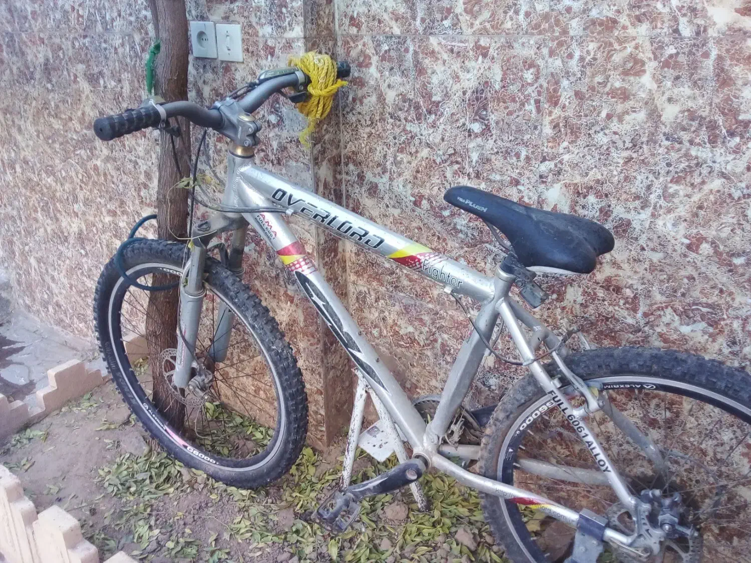 دوچرخه|دوچرخه، اسکیت، اسکوتر|تربت جام, شهید مدرس|دیوار