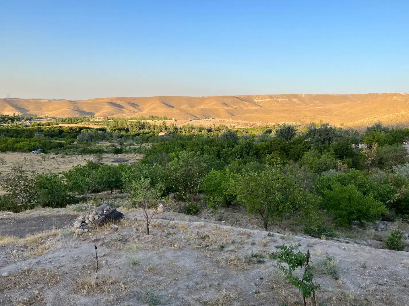 باغ عالی با ویو خاص در اسکو|فروش خانه و ویلا|اسکو, |دیوار