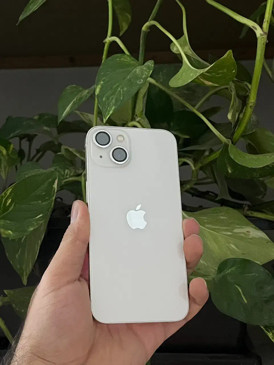 ایفون 13|موبایل|مشهد, میعاد (شهرک غرب)|دیوار