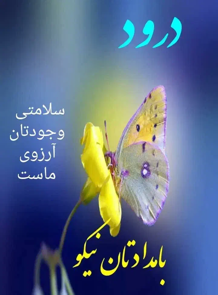 فروش سیم کارت دائمی رند|سیم‌کارت|پاتاوه, |دیوار