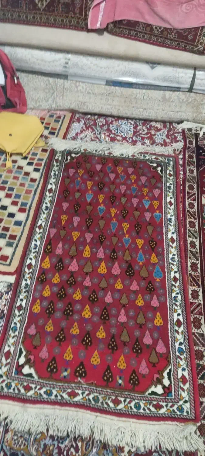 قالیچه دستباف|فرش|شیراز, گویم|دیوار